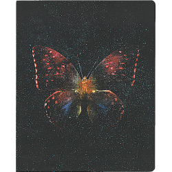 Keskin Bind-Note Butterfly 20X 25 Cm 80 Yp. Kareli Defter KESKİN COLOR - 1
