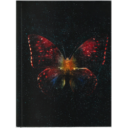 Keskin Bind-Note Butterfly Defter, 13 X 16,5 Cm 80 Yp. Çizgili KESKİN COLOR - 3