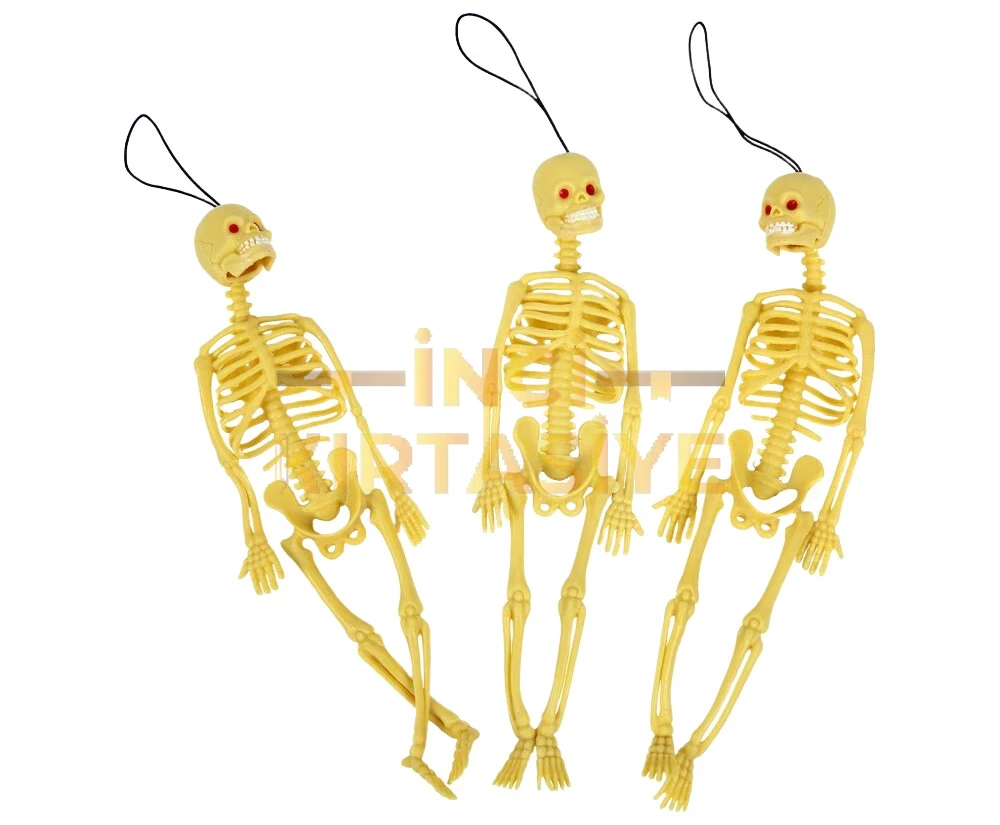 EMİNİŞ SARI İSKELET SİLİKON