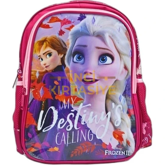 ST. FROZEN İLKOKUL ÇANTASI HAWK MY DESTINY