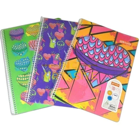 FLEX UP SP A4 100 ÇİZGİLİ DEFTER