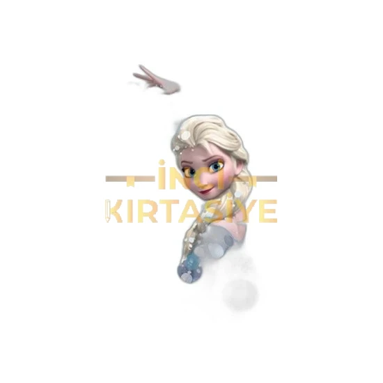 FROZEN 25*35 15 RESİM DEFTERİ