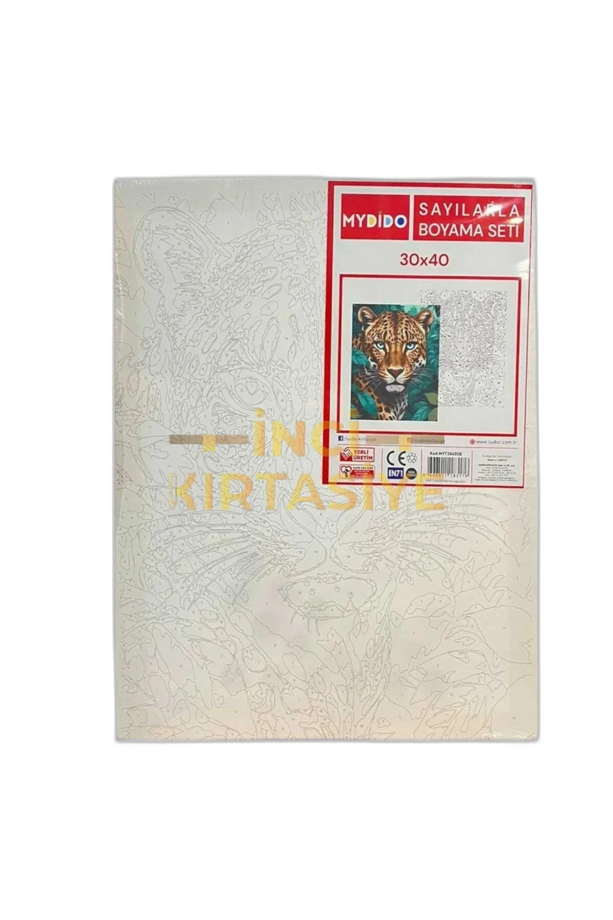 MYDİDO 30X40CM SAYILARLA BOYAMA TUVAL SETİ