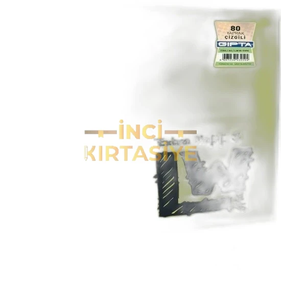 LW M-TYPE A5-60 KARELİ DEFTER