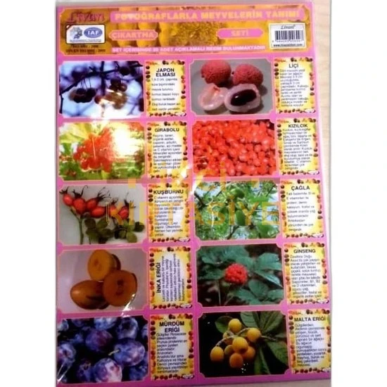 LİVAN MEYVE ÇIKARTMA