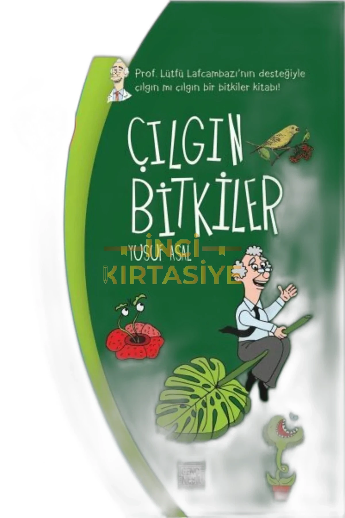 ÇILGIN BİTKİLER