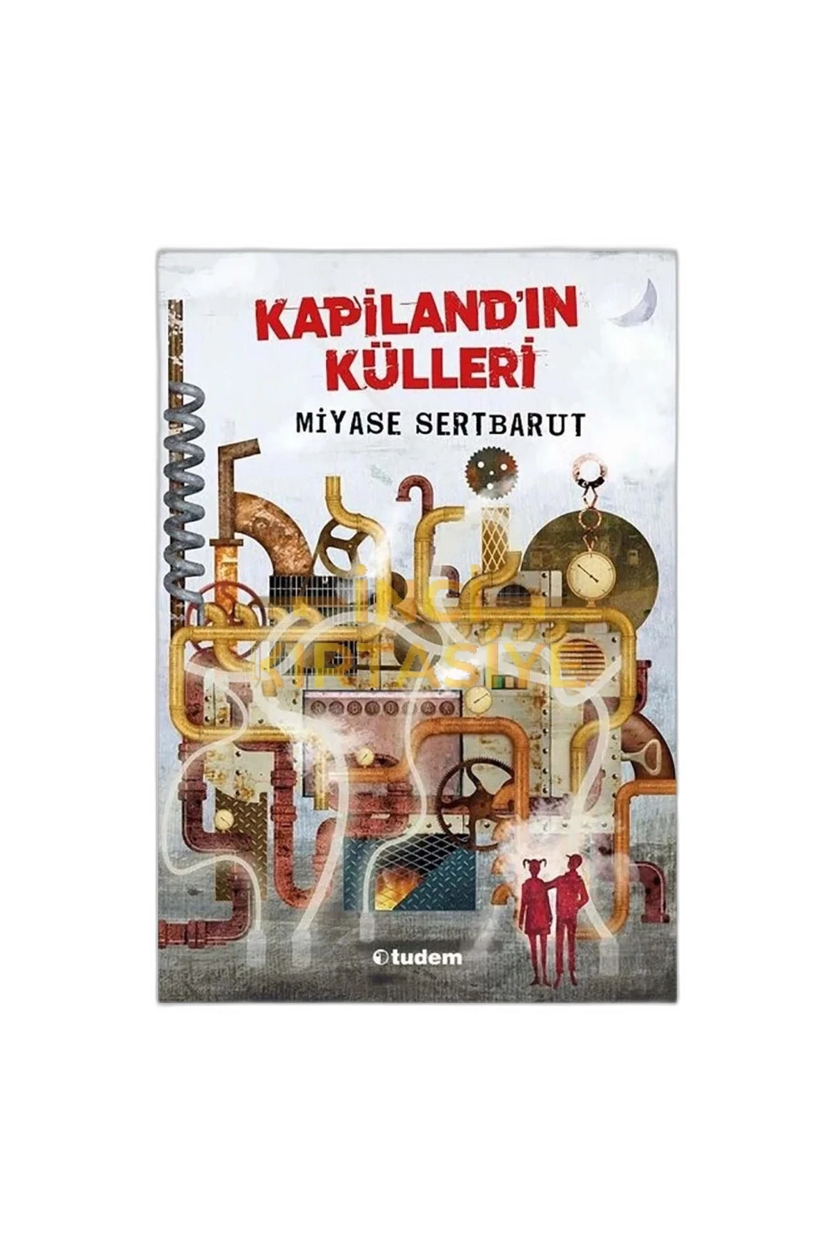 KAPİLANDIN KÜLLERİ