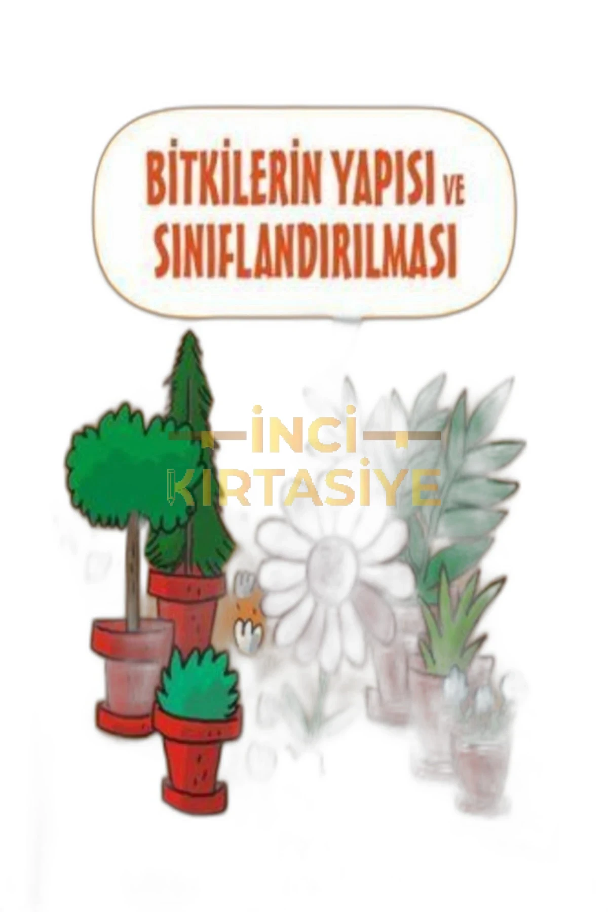 BİLİMİN ÇİZGİ ROMANI-BİTKİLERİN YAPISI VE SINIFLANDIRILMASI