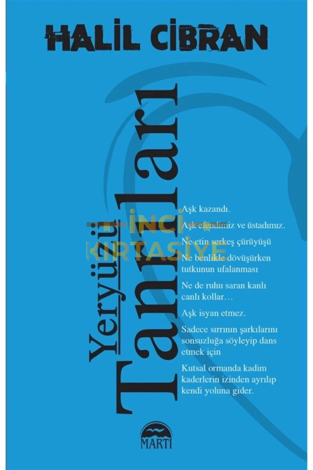 YERYÜZÜ TANRILARI