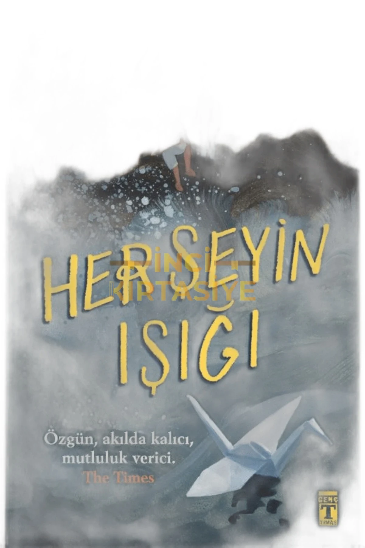 HER ŞEYİN IŞIĞI