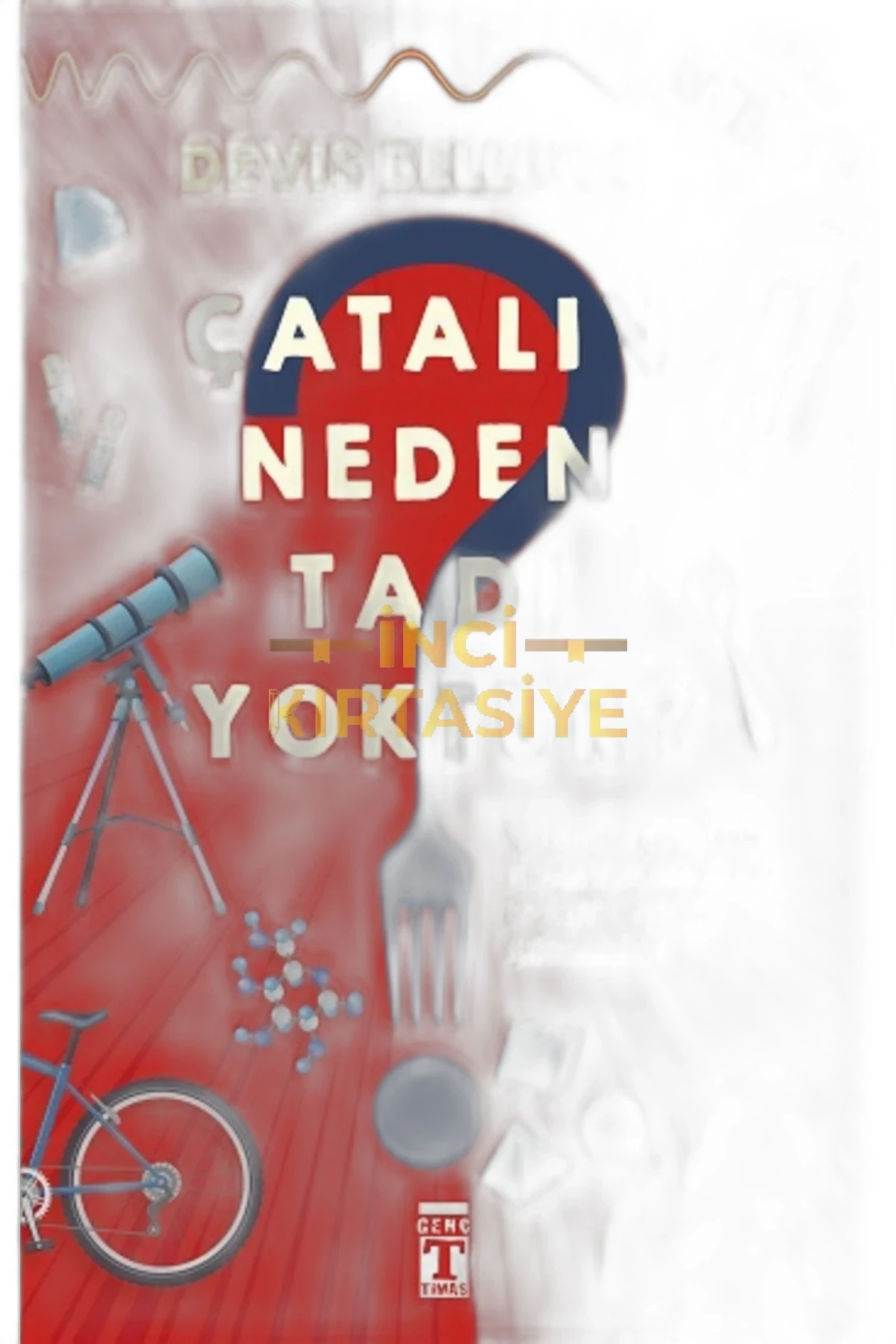 ÇATALIN NEDEN TADI YOKTUR?