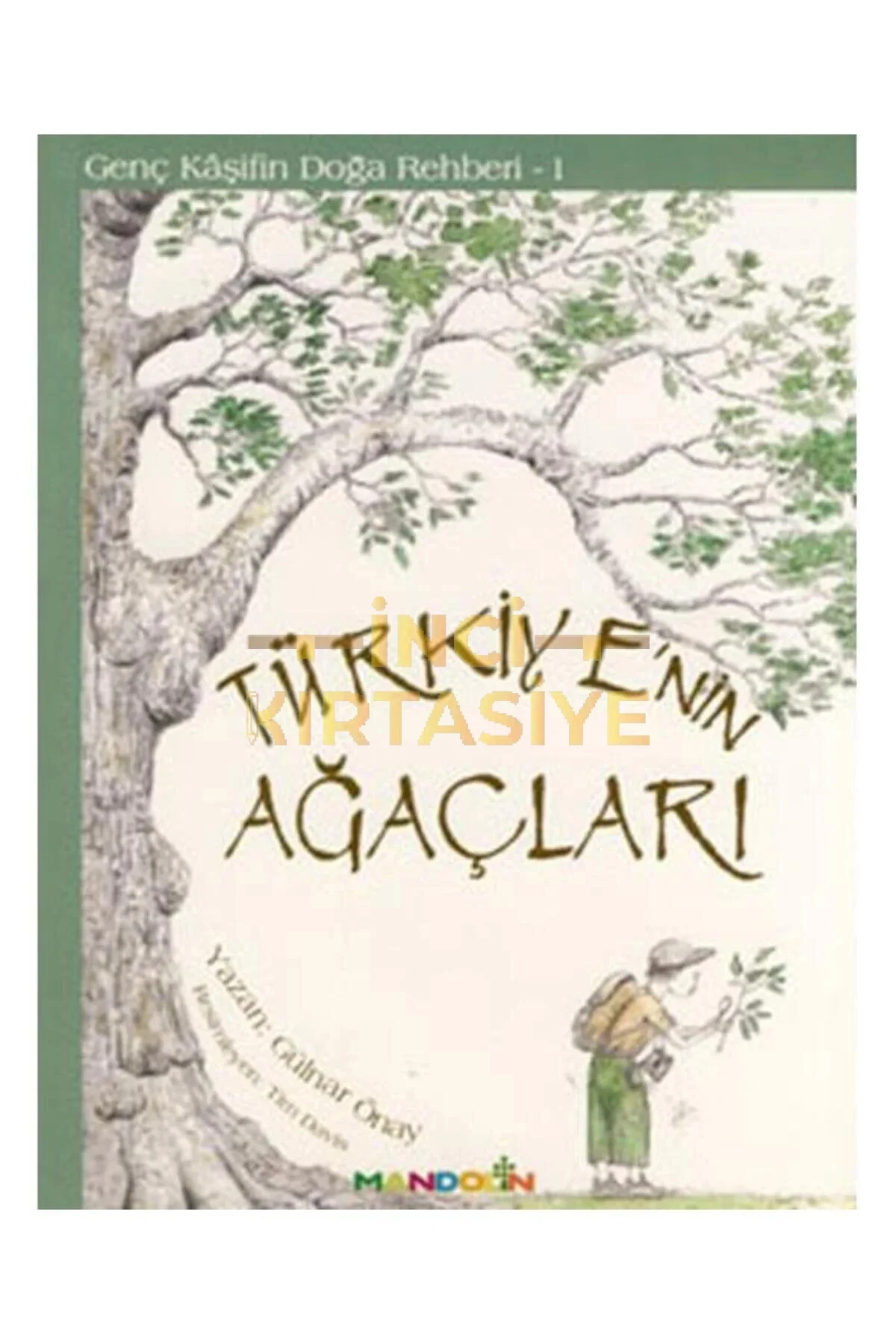 MANDOLİN-TÜRKİYENİN AĞAÇLARI