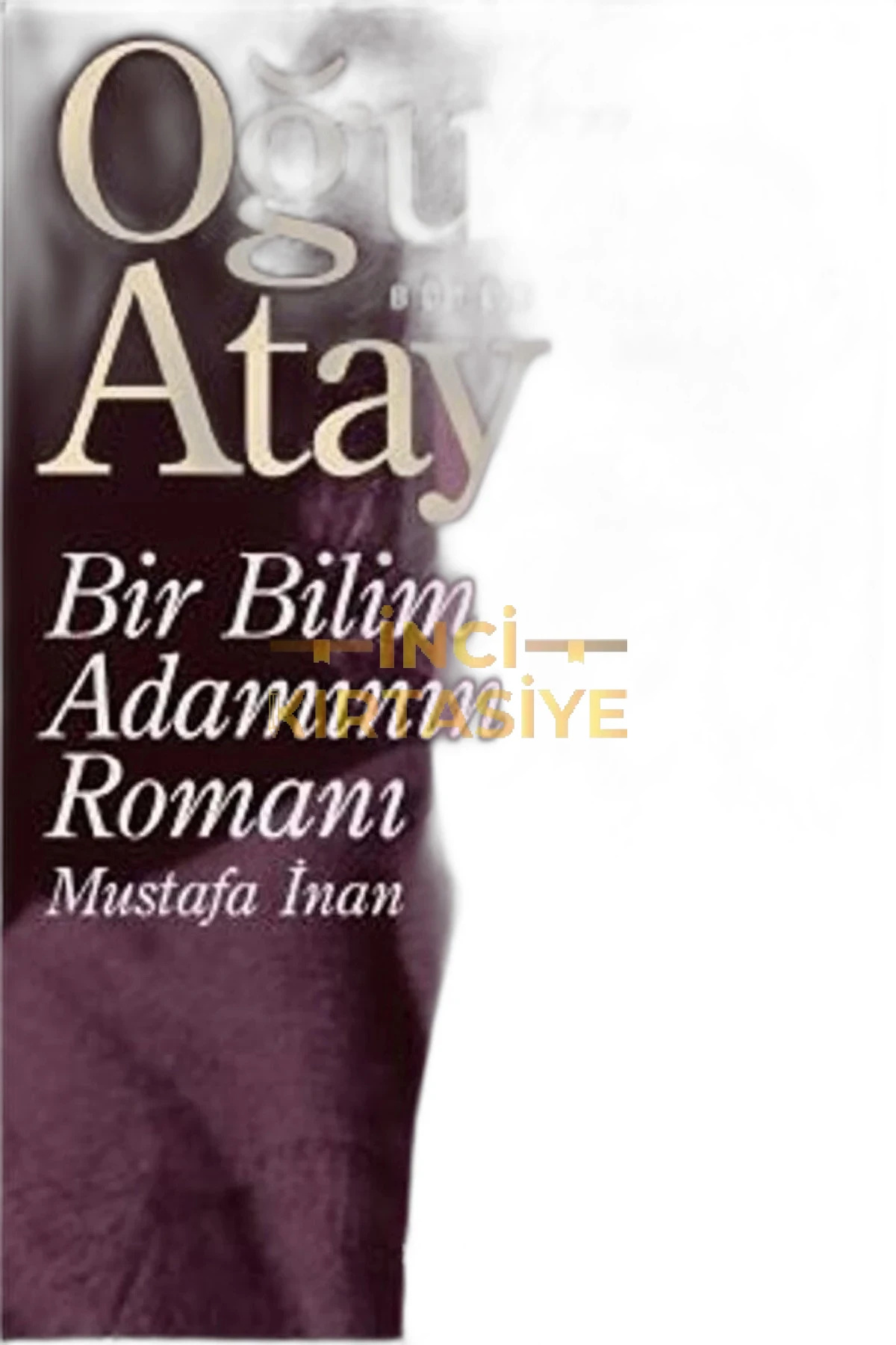 BİR BİLİM ADAMININ ROMANI