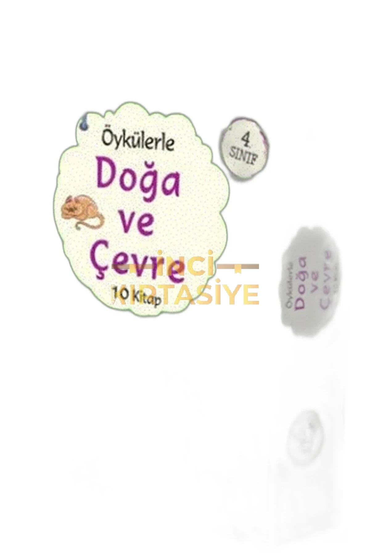 DOĞA VE ÇEVRE 4.SINIF 10 KITAP SET
