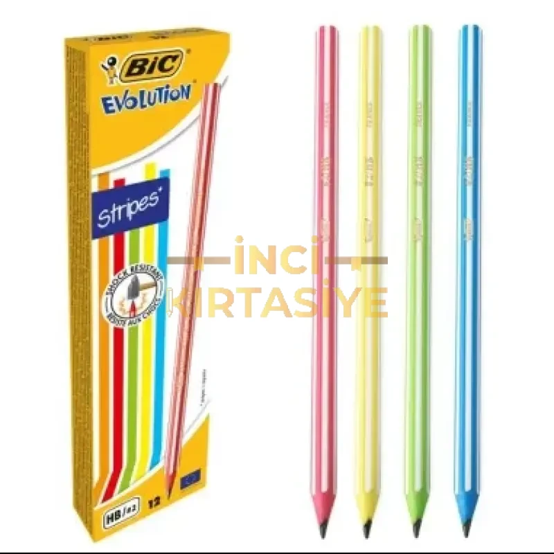 BİC EVOLUTION 646 KURŞUN KALEM 12'Lİ KUTU