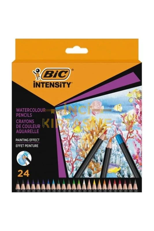 BİC İNTENSİTY KURU SULU BOYA KALEMİ 24 RENK