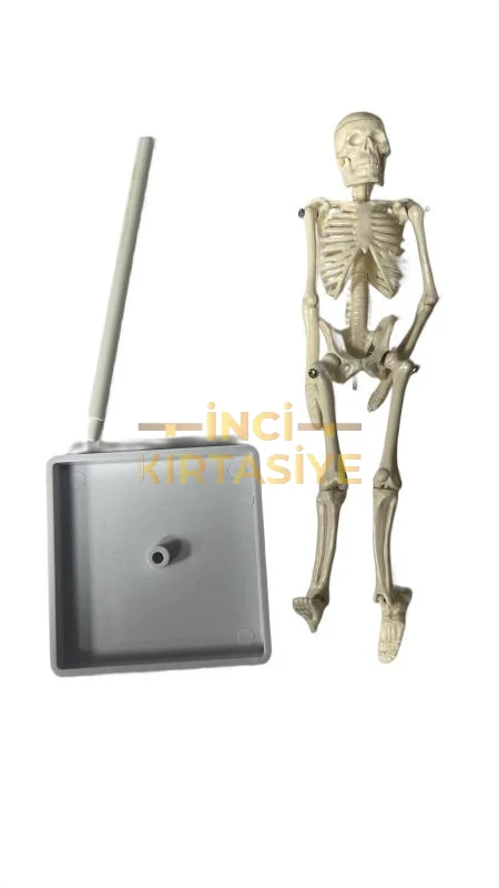 EMİNİŞ İSKELET 20CM