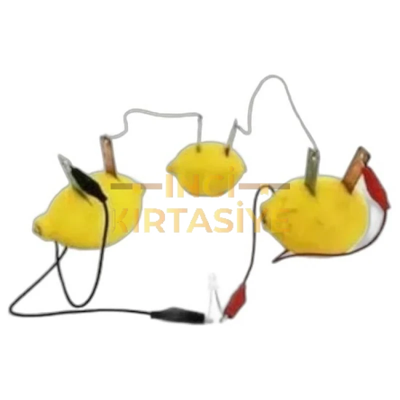 LİMON DENEY SETİ KUTULU