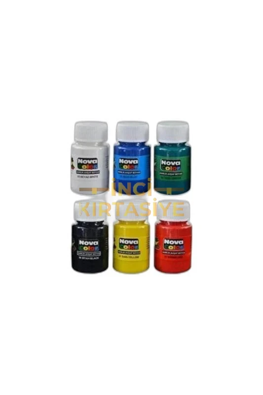 N.COLOR AKRİLİK BOYA SİSE 6 Lİ  (17 ML)