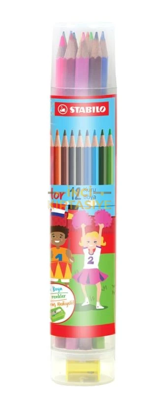 STABİLO 12 TÜP KURU BOYA