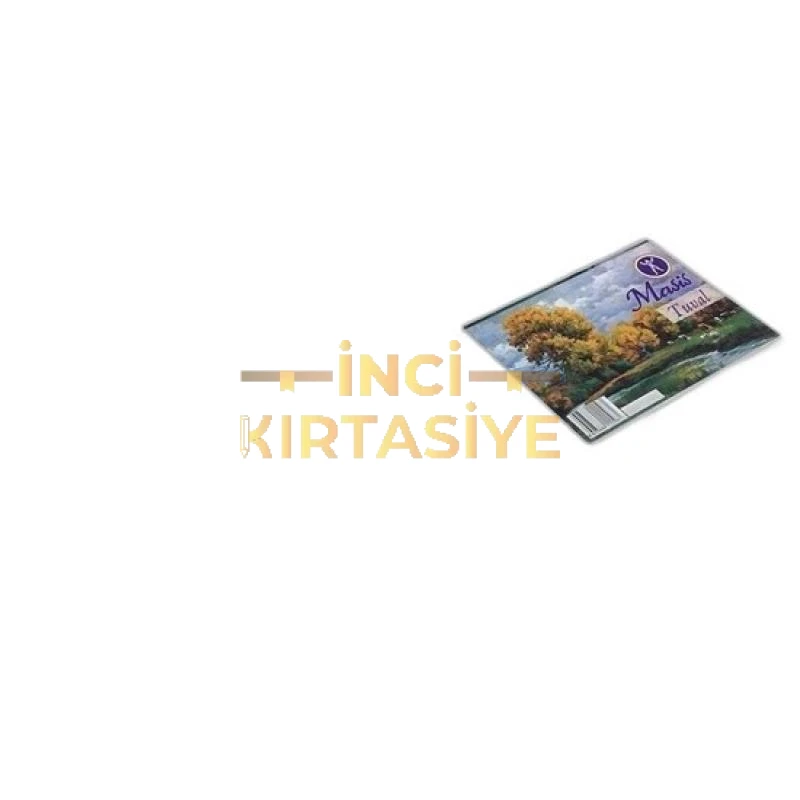 MASİS ÖĞRENCİ TUVALİ 35X50 CM