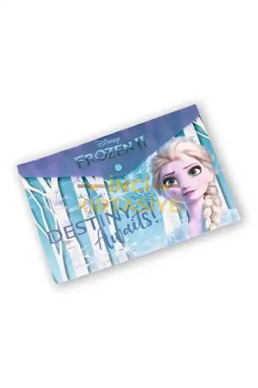 FROZEN ÇITÇITLI DOSYA