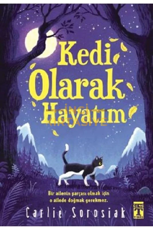 KEDI OLARAK HAYATIM