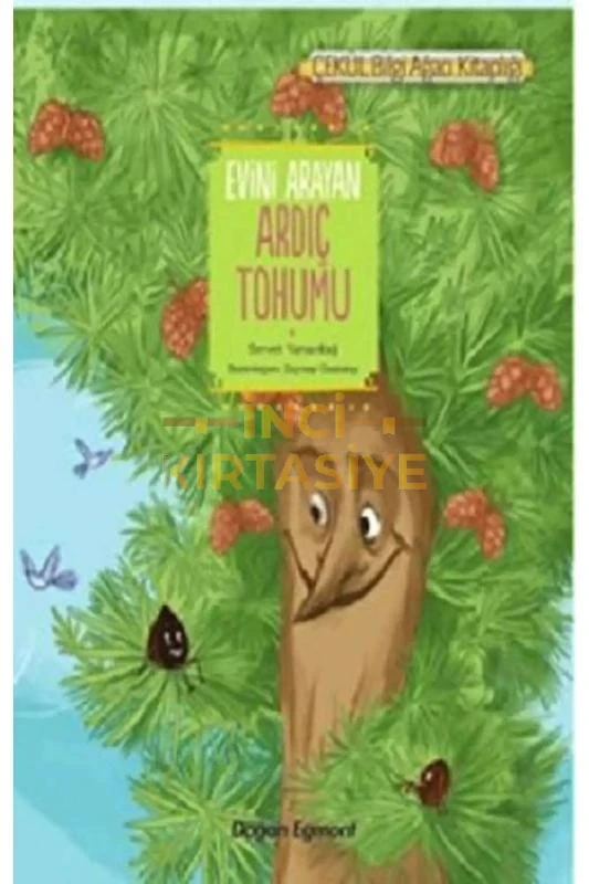 EVİNİ ARAYAN ARDIÇ TOHUMU