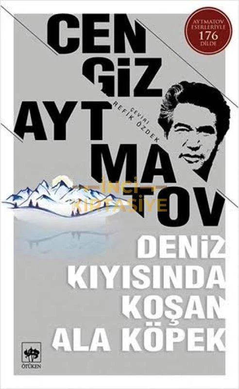DENIZ KIYISINDA KOŞAN ALA KÖPEK