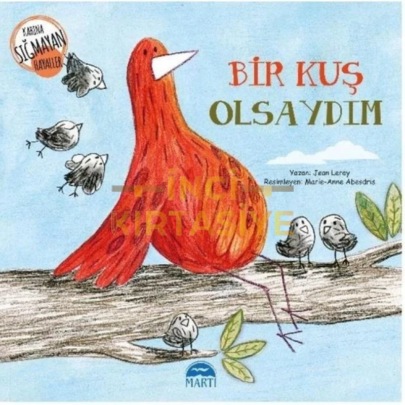BİR KUŞ OLSAYDIM / KABINA SIĞMAYAN HAYALLER DİZİSİ