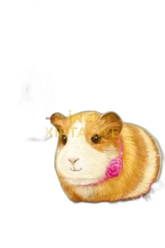 DOSTLUK ORMANI/08-GÜL TOMURCUK NASIL KAÇ./B.BALİNA