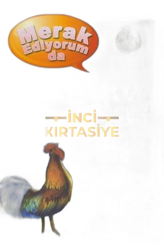MERAK EDİYORUM DA-GÜNEŞ NEDEN DOĞAR