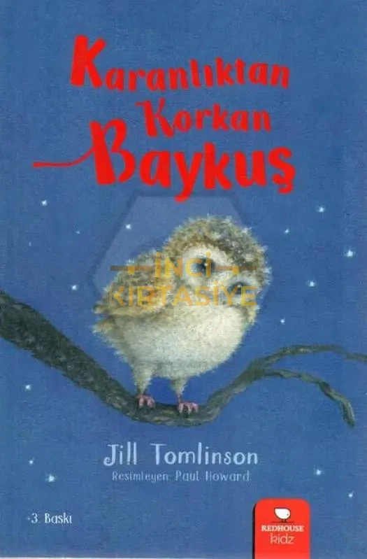 KARANLIKTAN KORKAN BAYKUŞ