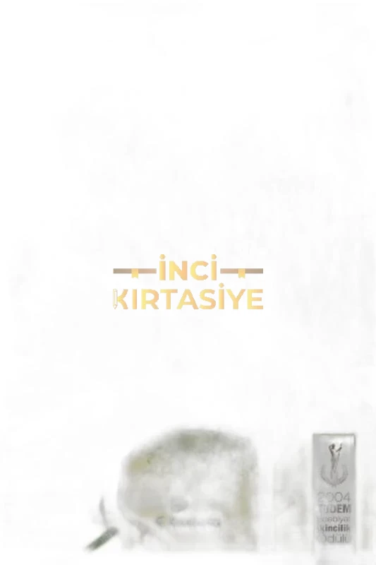 SİSİN SAKLADIKLARI-1