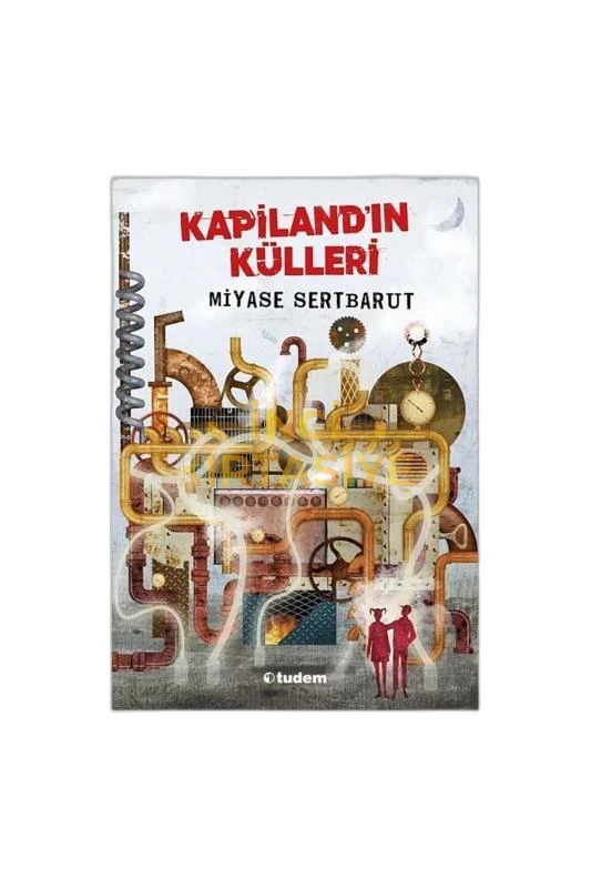 KAPİLANDIN KÜLLERİ