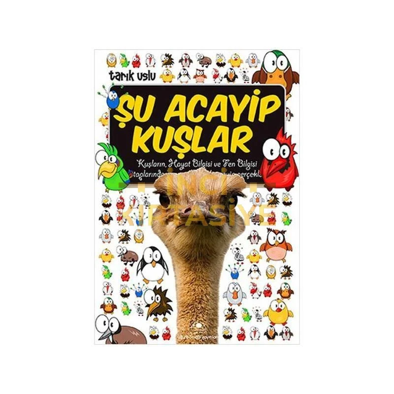 ŞU ACAYIP KUŞLAR