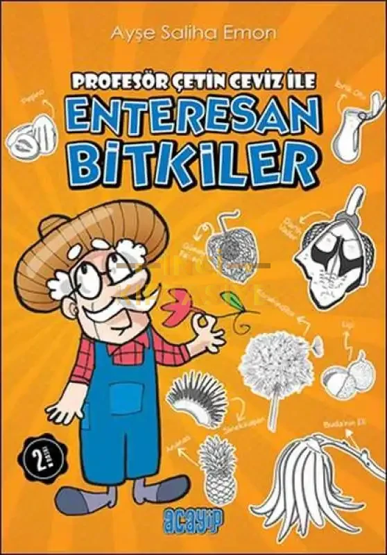 ENTERESAN BİTKİLER
