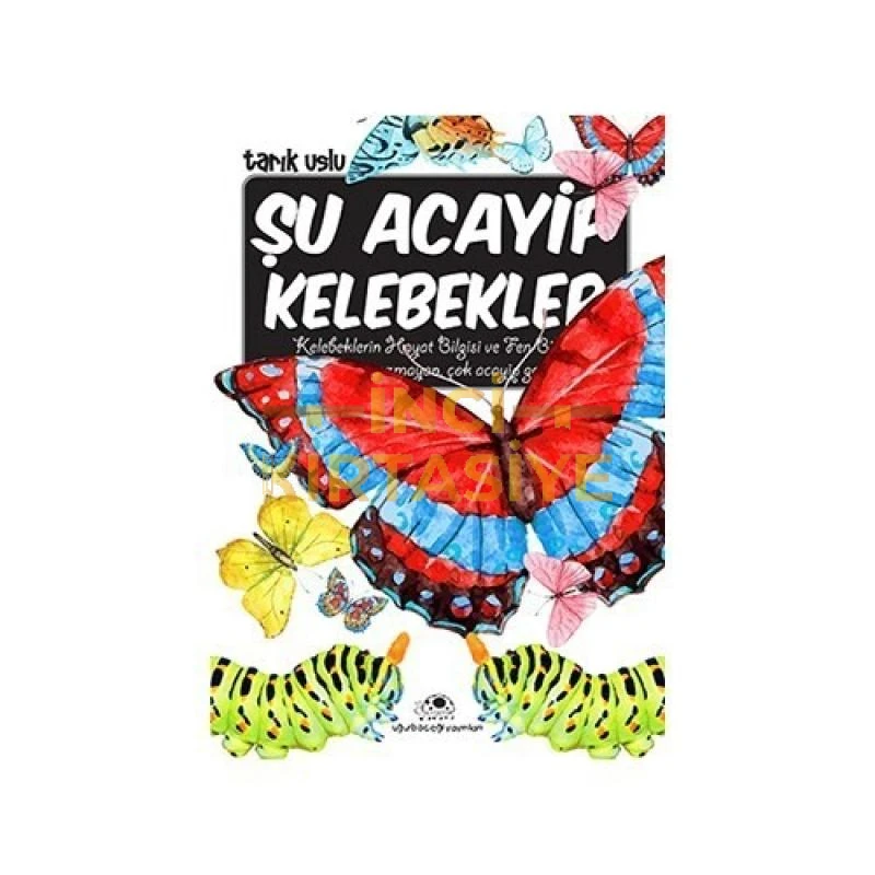ŞU ACAYIP KELEBEKLER