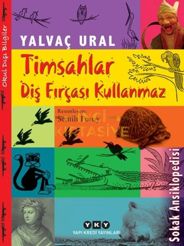 TIMSAHLAR DIŞ FIRÇASI KULLANMAZ