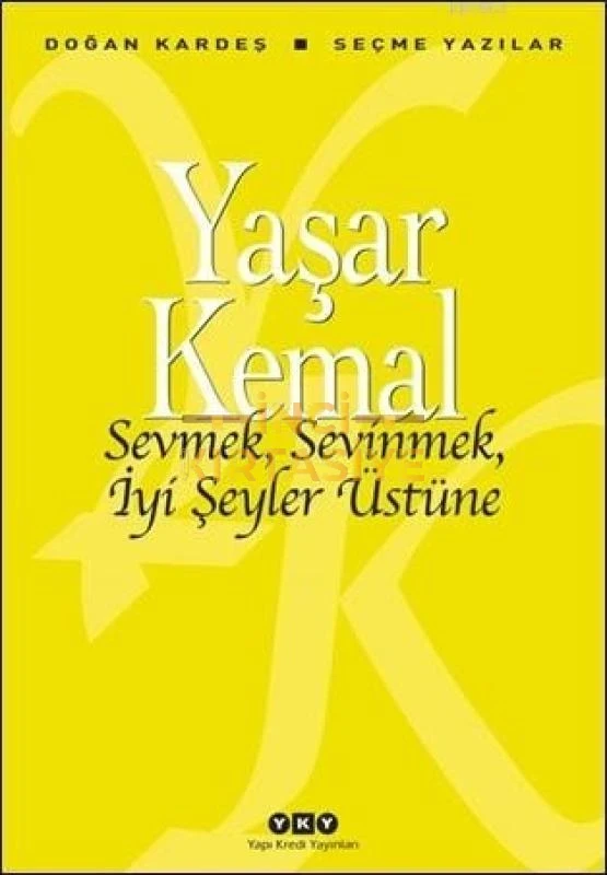 SEVMEK, SEVINMEK, İYI ŞEYLER ÜSTÜNE