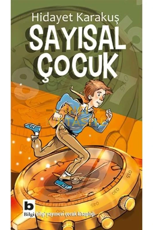 SAYISAL ÇOCUK