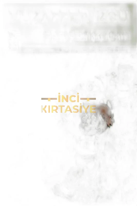 BIZIM SINIF KIRA GITTI