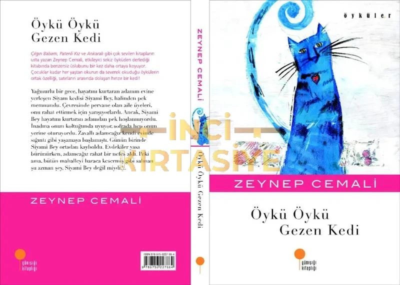 ÖYKÜ ÖYKÜ GEZEN KEDI