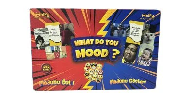 WHAT DO YOU MOOD? MODUNU BUL