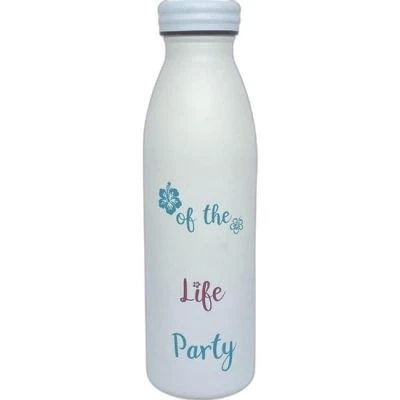 B&D ÇELİK MATARA DESENLİ 500 ML. (XG-8161)