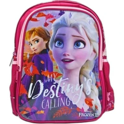 ST. FROZEN İLKOKUL ÇANTASI HAWK MY DESTINY