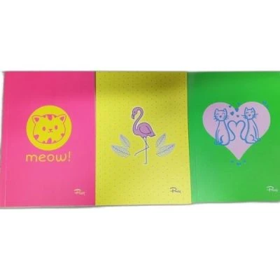 PRESTİJ 13,5X19,5 CM NEON ÇİZGİLİ DEFTER