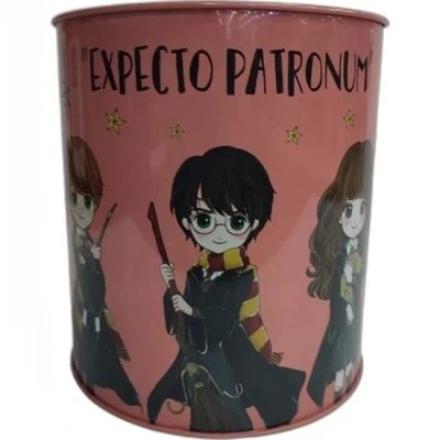 HARRY POTTER ORTA BOY METAL KUMBARA