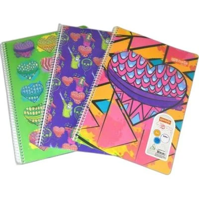 FLEX UP SP A4 100 ÇİZGİLİ DEFTER