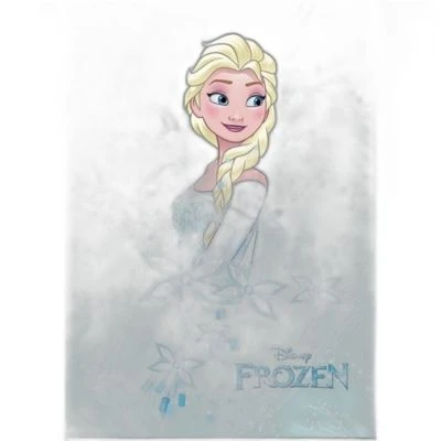 FROZEN A5 40 KARELİ DEFTER